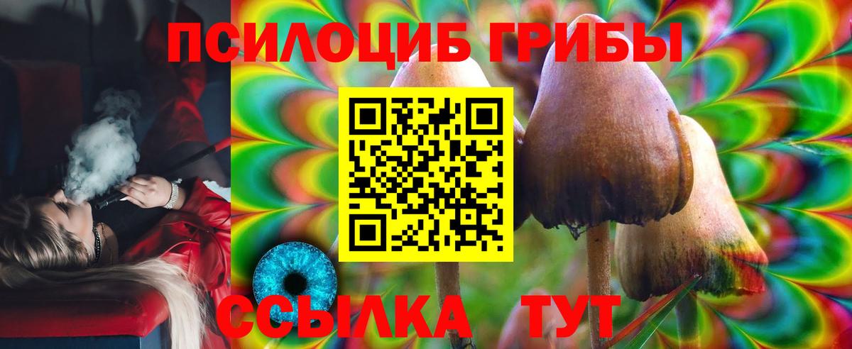 Галлюциногенные грибы Psilocybine cubensis Оренбург